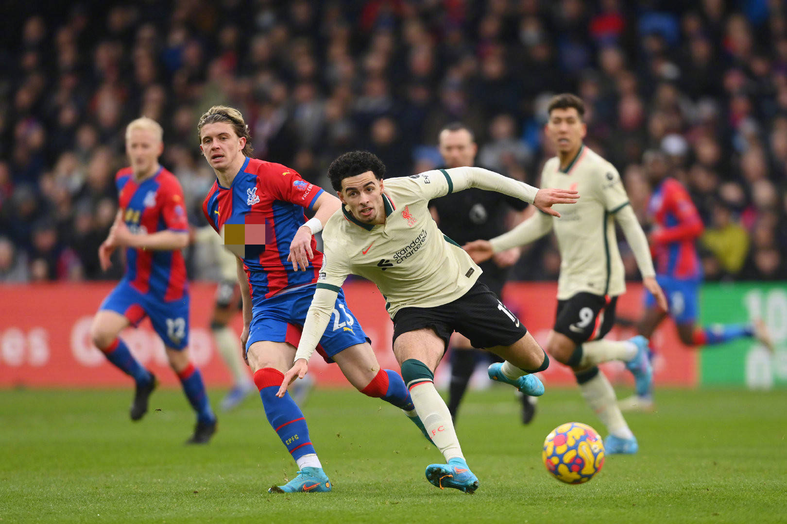 从胡明轩到 从胡明轩到